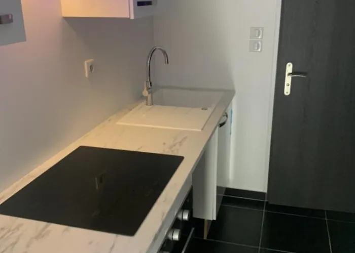 Jolie Maisonnette Avec Terrasse Centre * Nancy