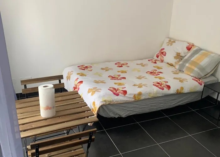 Jolie Maisonnette Avec Terrasse Centre * Nancy